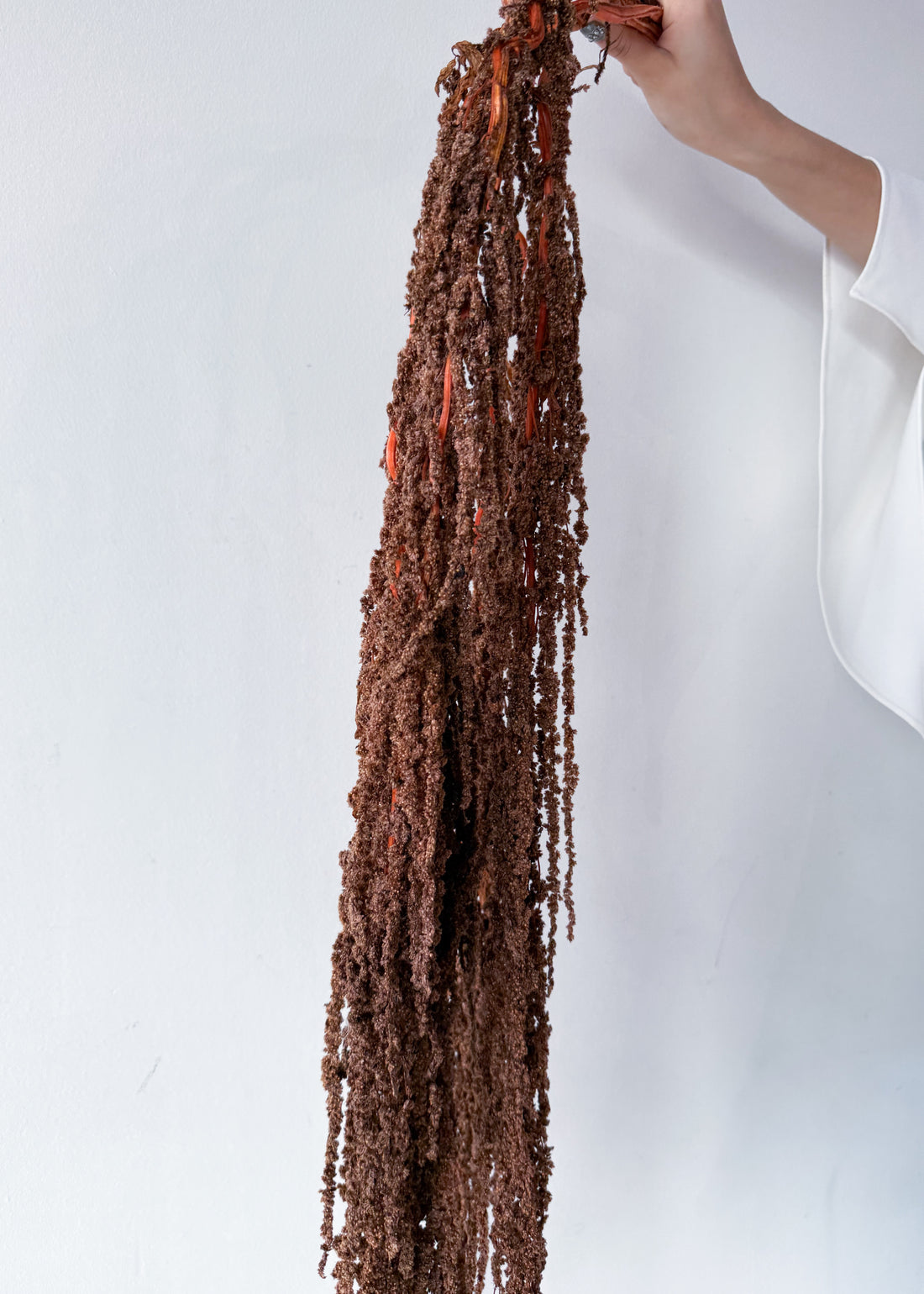 PRESERVED AMARANTHUS | BRONZE