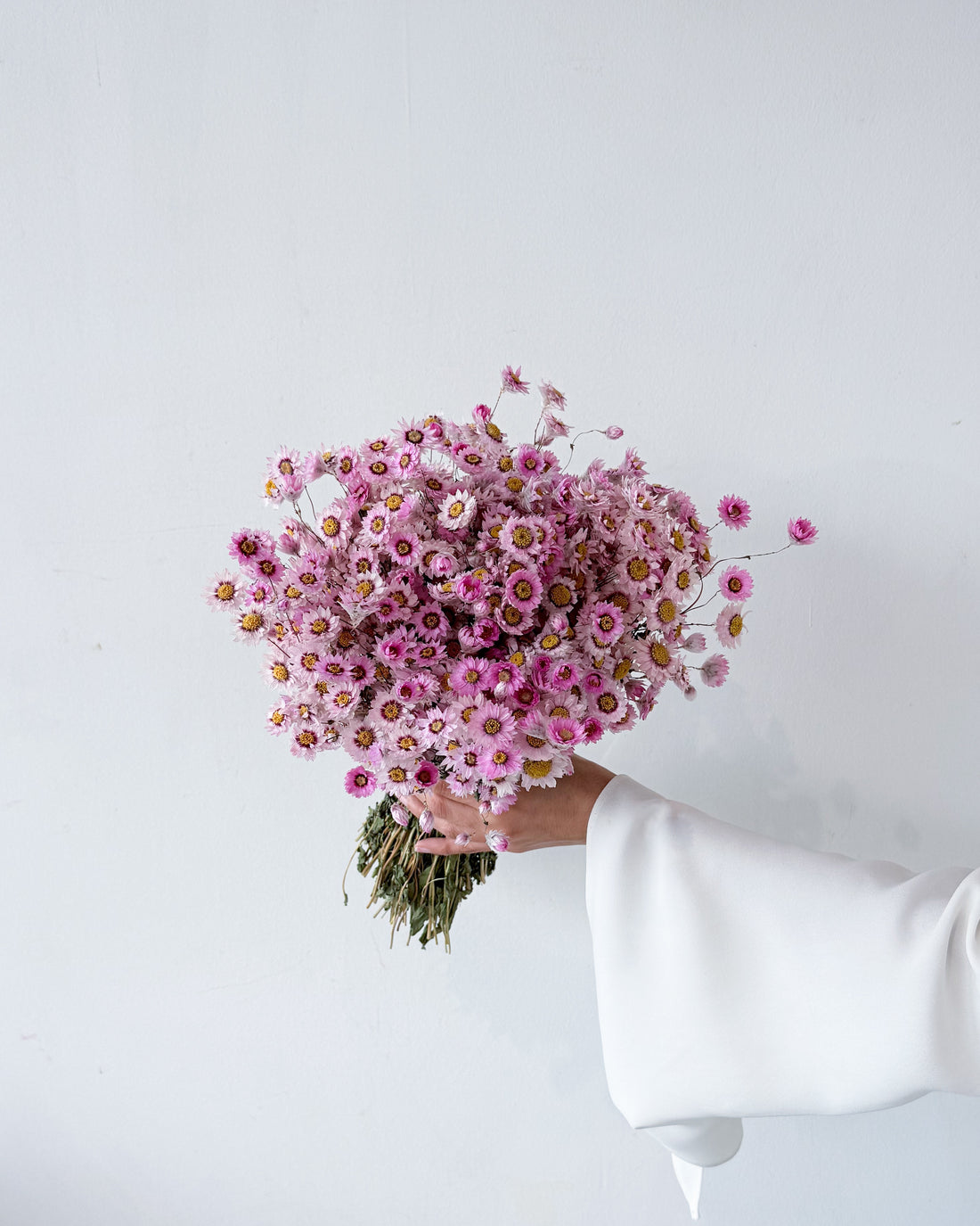 DRIED DAISIES BOUQUET | BLOSSOM