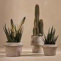 CATULLO POT (20x28cm)