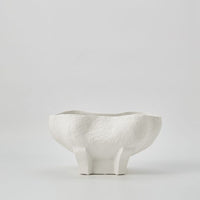 CONCH BOWL IVORY