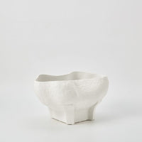 CONCH BOWL IVORY