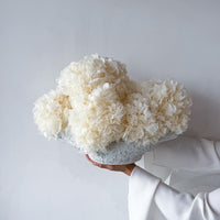 Charlotte preserved flower arrangement in Salt Crust White vessel