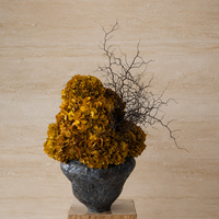 ELIZABETH PRESERVED FLOWER ARRANGEMENT IN ASILAH VASE | AUTUMN