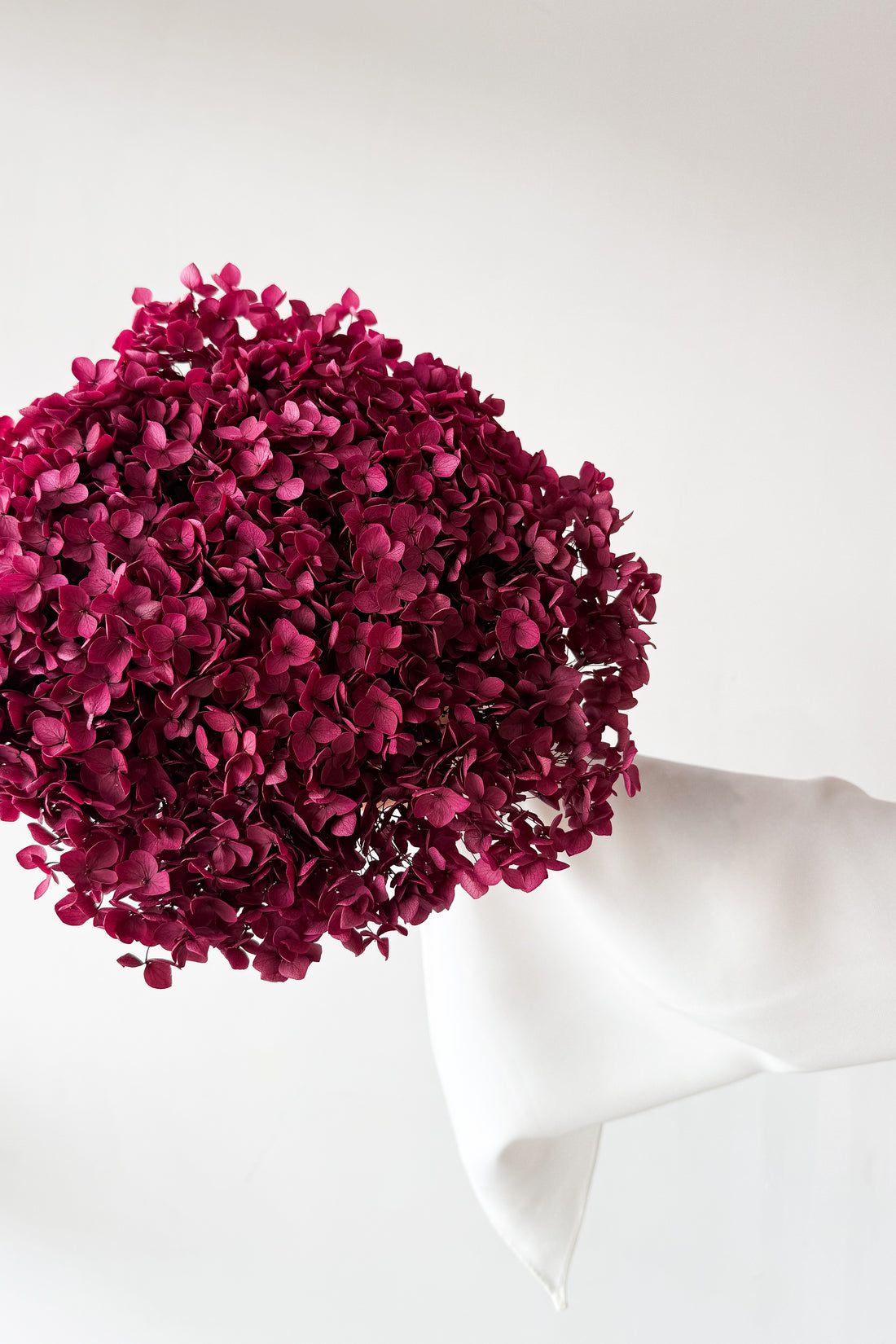 PRESERVED HYDRANGEA STEM I DEEP FUCHSIA I SMALL-LEAF