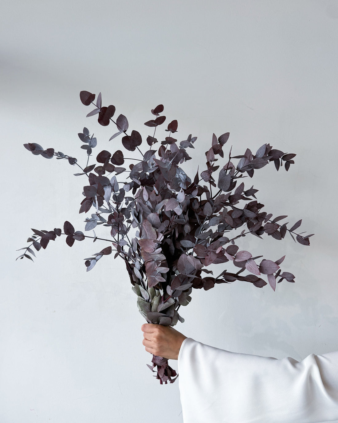PRESERVED GUM | BURGUNDY
