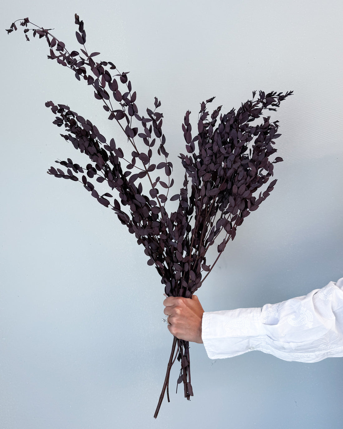 PRESERVED SMALL-LEAF GUM | DEEP PLUM