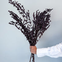 PRESERVED SMALL-LEAF GUM | DEEP PLUM
