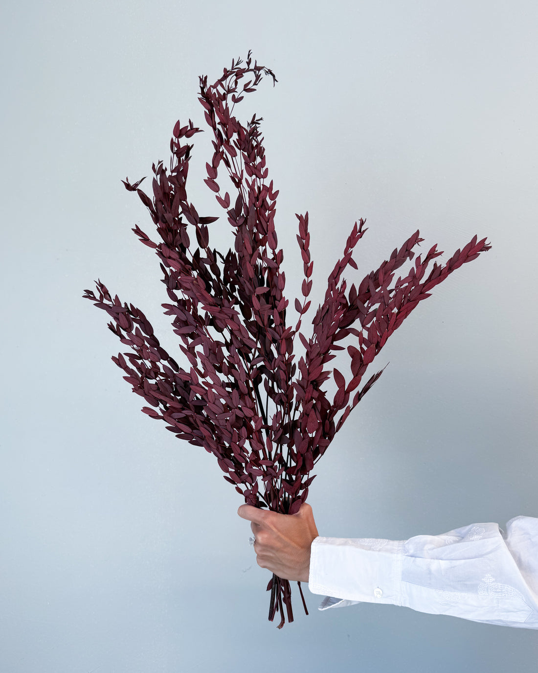 PRESERVED SMALL-LEAF GUM | MARONE