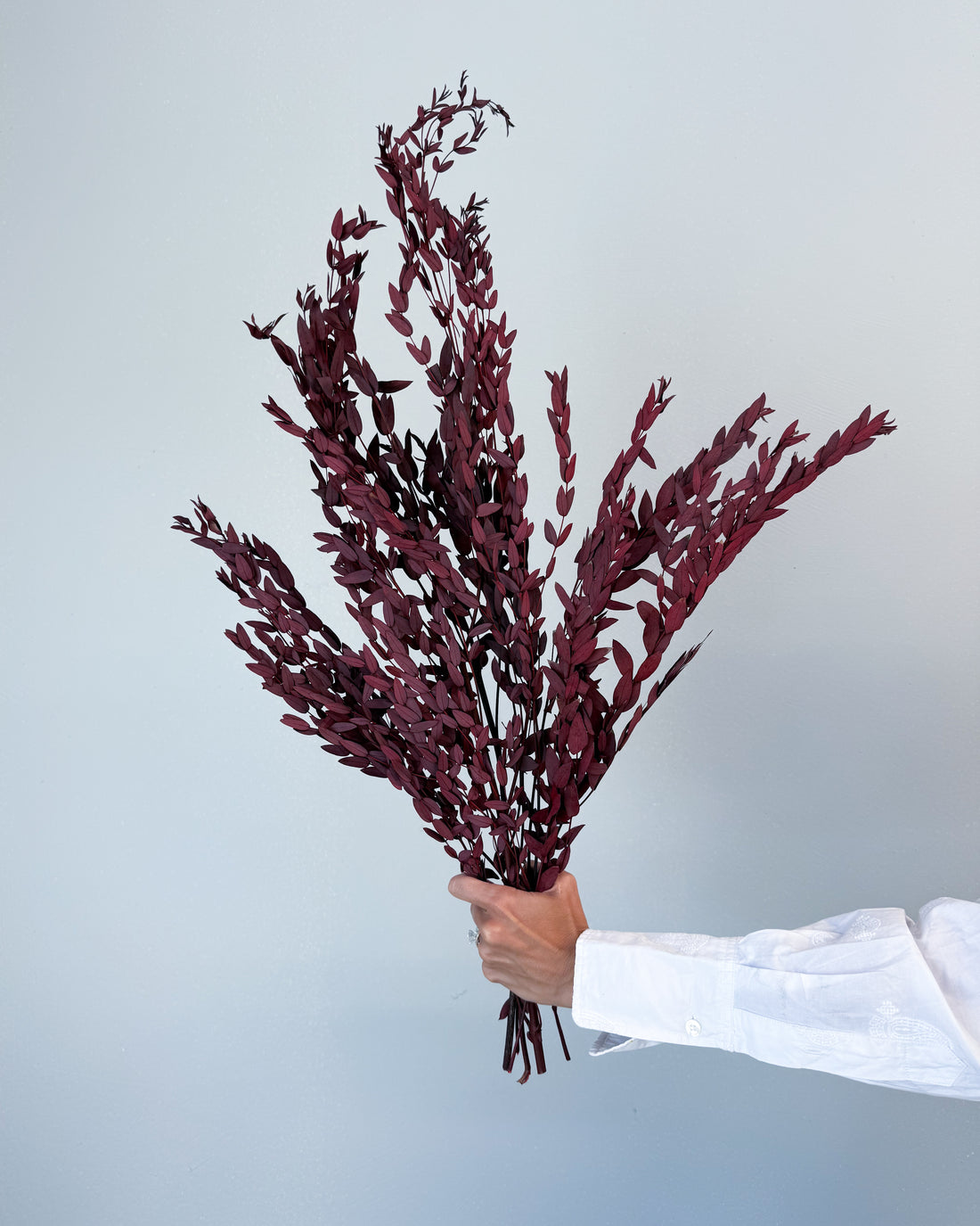 PRESERVED SMALL-LEAF GUM | MARONE