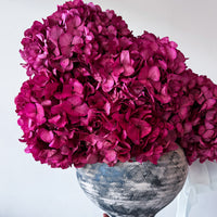 ALESSANDRA PRESERVED FLOWER ARRANGEMENT IN ASWAN VESSEL