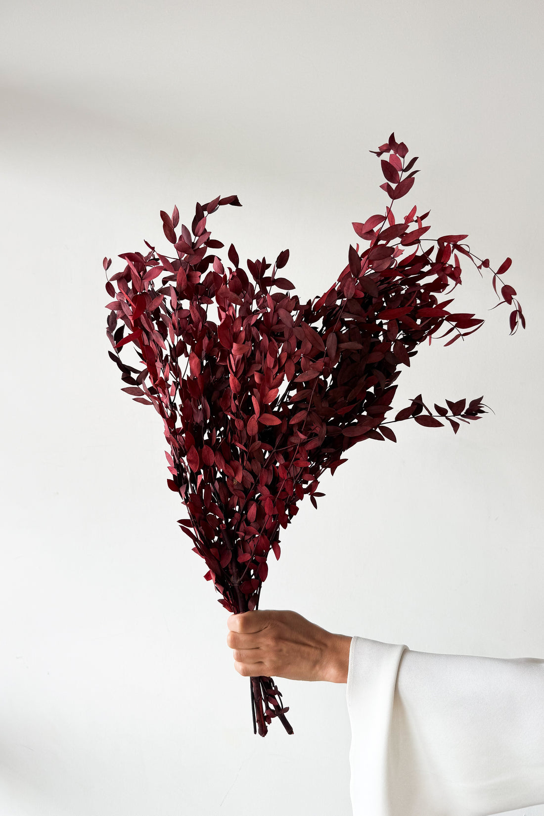 PRESERVED SMALL-LEAF GUM | MARONE-RED