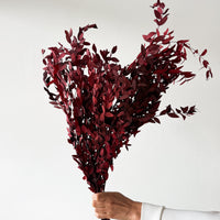 PRESERVED SMALL-LEAF GUM | MARONE-RED