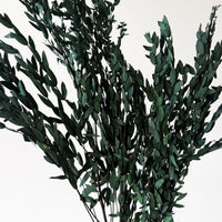 PRESERVED SMALL-LEAF GUM | DEEP SEA GREEN