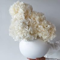 Elise preserved flower arrangement