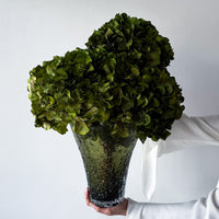 ESMERALDA | LIME GREEN HYDRANGEA EN MASSE IN LASHAY TALL VESSEL GREEN