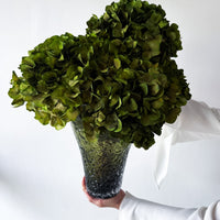 ESMERALDA | LIME GREEN HYDRANGEA EN MASSE IN LASHAY TALL VESSEL GREEN