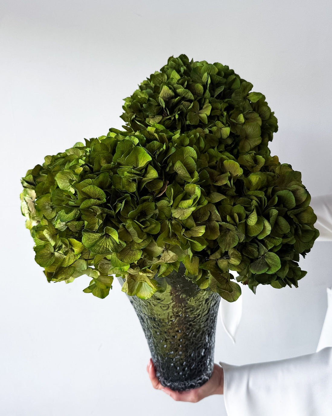ESMERALDA | LIME GREEN HYDRANGEA EN MASSE IN LASHAY TALL VESSEL GREEN