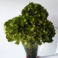 ESMERALDA | LIME GREEN HYDRANGEA EN MASSE IN LASHAY TALL VESSEL GREEN