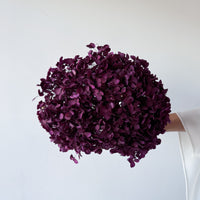 PRESERVED HYDRANGEA STEM I BURGUNDY I SMALL-LEAF