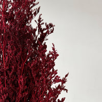 PRESERVED MISTY | WINE RED