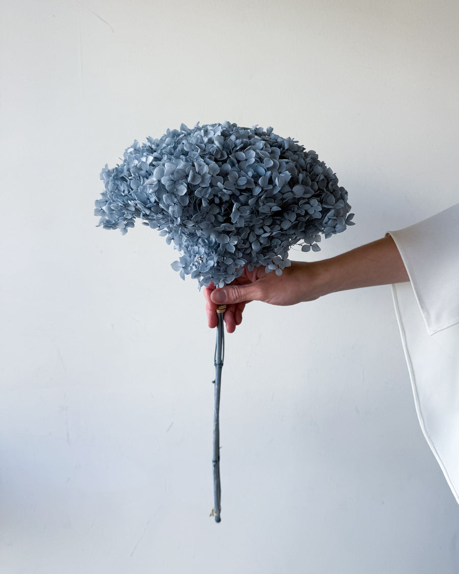 PRESERVED HYDRANGEA STEM I GREY-BLUE I SMALL-LEAF
