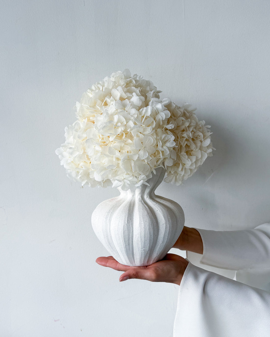 AURELIA PRESERVED WHITE HYDRANGEA IN WHITE VASE