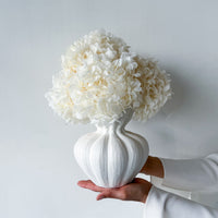 AURELIA PRESERVED WHITE HYDRANGEA IN WHITE VASE