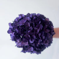 AURELIA PRESERVED HYDRANGEA ARRANGEMENT IN CHARCOAL BASMA VASE