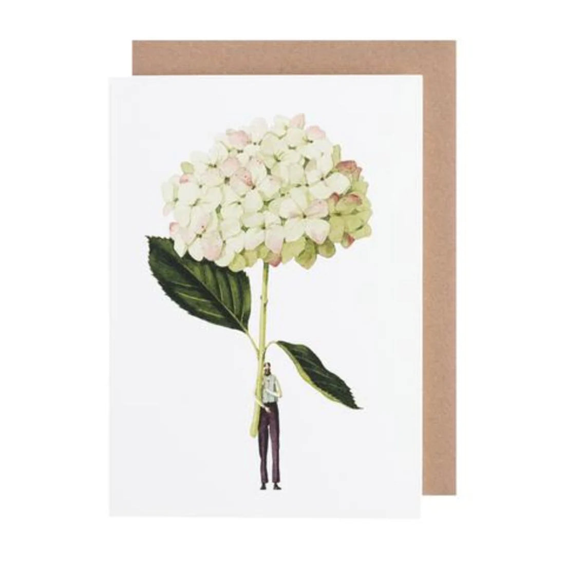 LAURA STODDART GREEN HYDRANGEA GREETING CARD
