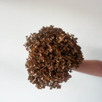 PRESERVED HYDRANGEA STEM | BRONZE | SMALL-LEAF