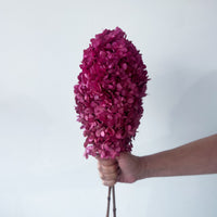 PRESERVED HYDRANGEA PANICULATA STEM | MARONE