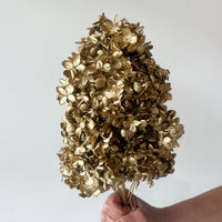 PRESERVED HYDRANGEA PANICULATA STEM I GOLD