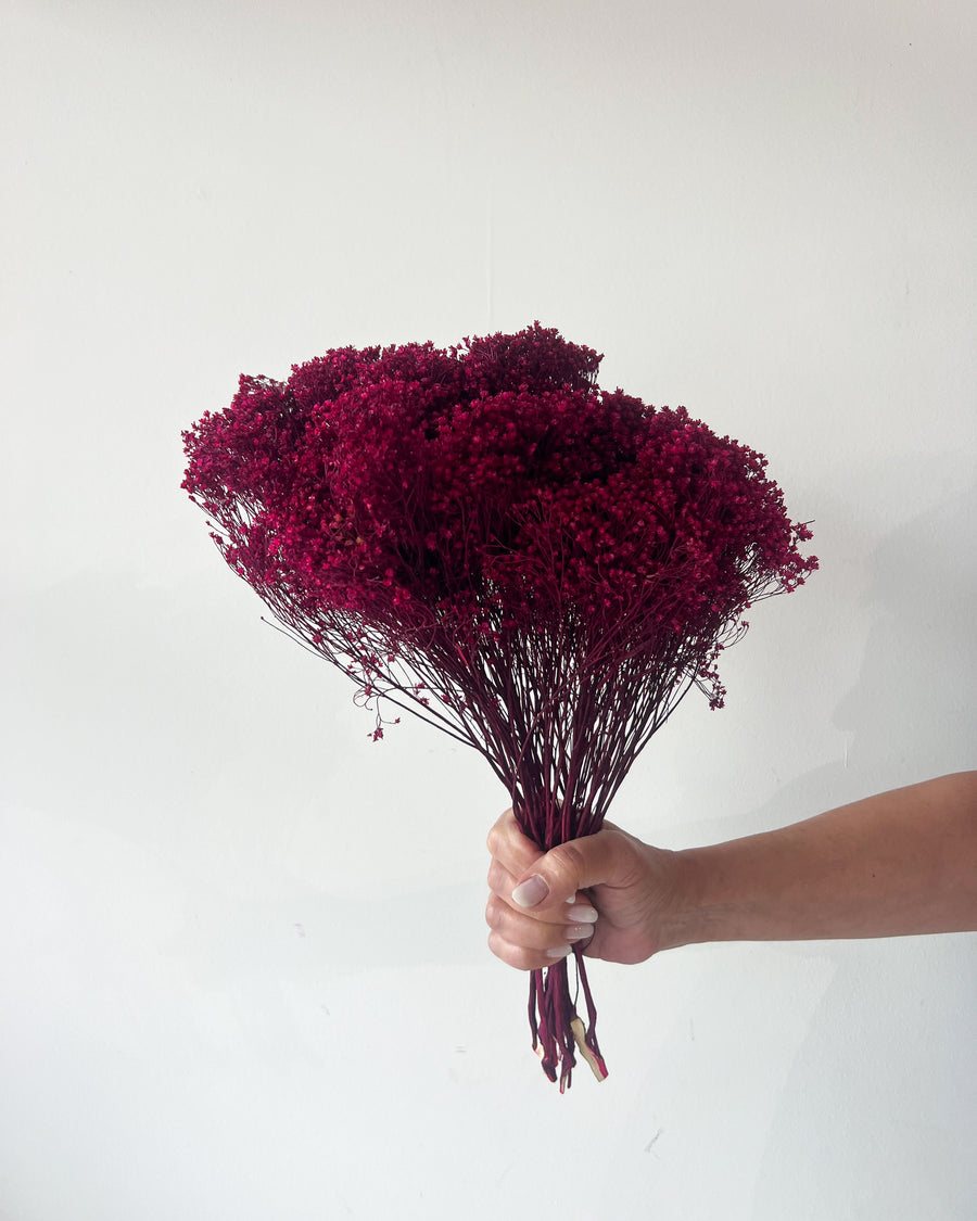 PRESERVED BABY'S BREATH | DEEP FUSCIA