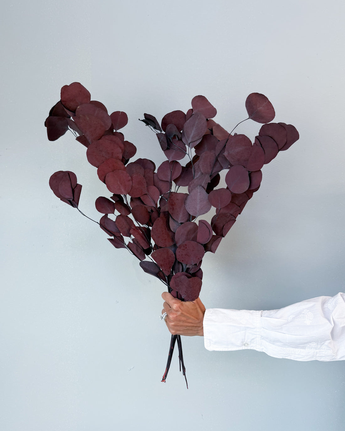 PRESERVED POLYGUM FOLIAGE | BURGUNDY