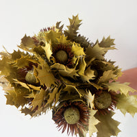 DRIED BANKSIA GREEN I NATURAL