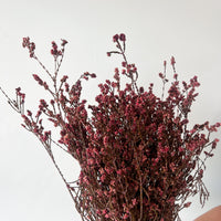 DRIED FOLIAGE | BURNT RED