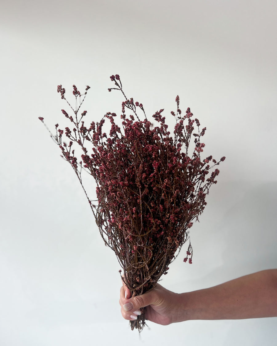 DRIED FOLIAGE | BURNT RED