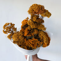 ELORA PRESERVED FLOWER BOUQUET