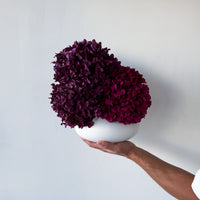 KAILANI | BURGUNDY X DEEP FUCHSIA