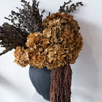 VALENTINA preserved natural hydrangea and amaranthus arrangement in black Sintra vessel