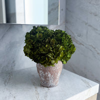 LUNA PRESERVED HYDRANGEA ARRANGEMENT IN HERAMA POT | DEEP LIME GREEN
