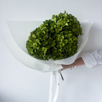 - OLIVE GREEN PRESERVED HYDRANGEA BOUQUET - LARGE-LEAF