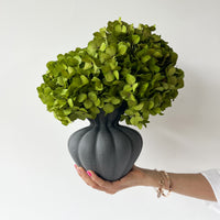 AURELIA PRESERVED HYDRANGEA ARRANGEMENT IN CHARCOAL BASMA VASE