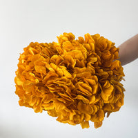 PRESERVED HYDRANGEA STEM | MUSTARD YELLOW | LARGE-LEAF