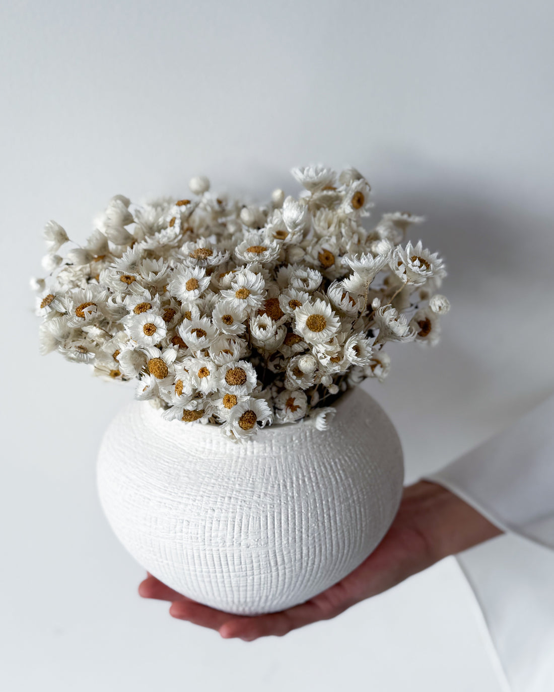 DAISY DREAM DRIED FLOWER ARRANGEMENT IN WHITE VASE