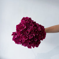 PRESERVED HYDRANGEA STEM I RASPBERRY I LARGE-LEAF
