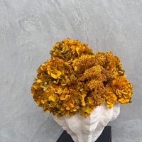 PRESERVED HYDRANGEA STEM I AUTUMN I LARGE-LEAF
