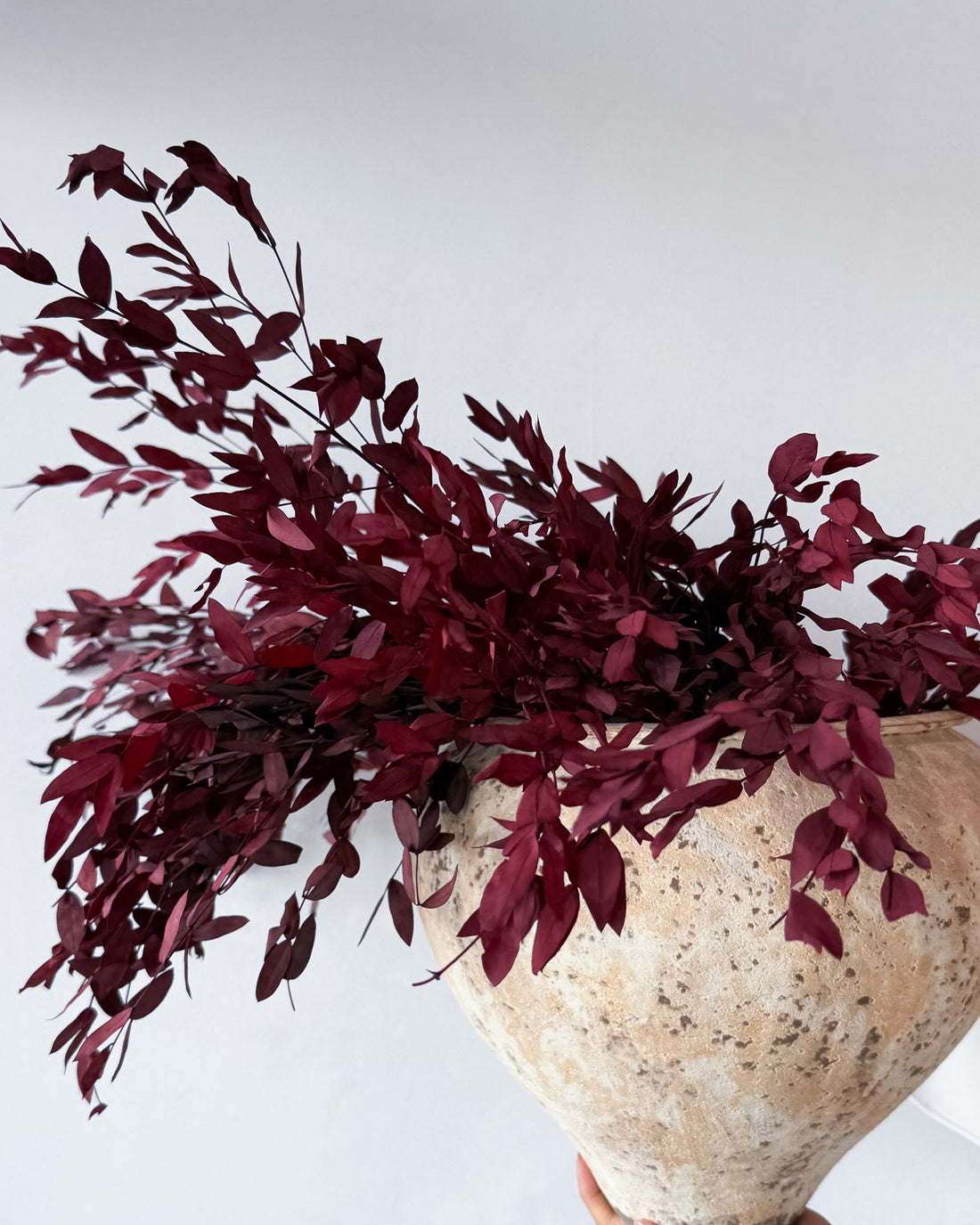Ilia preserved flower arrangement detail