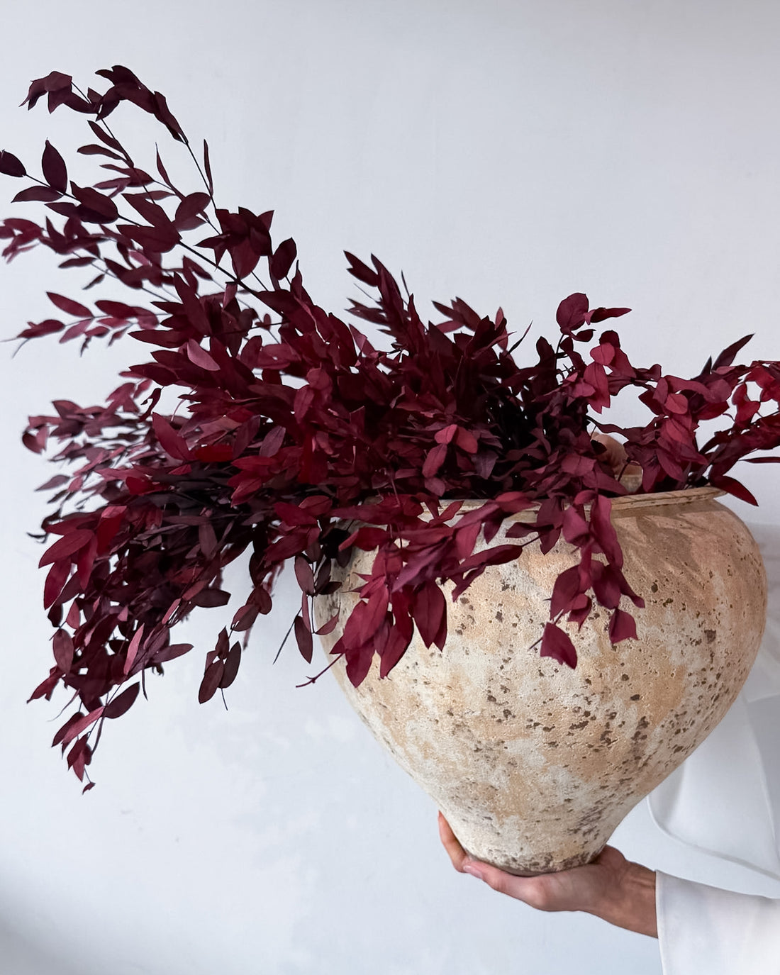 Ilia preserved flower arrangement detail