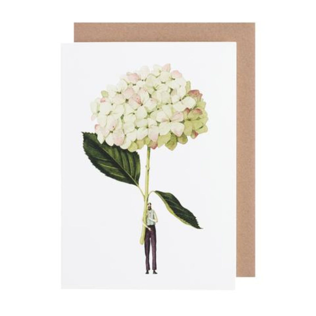 LAURA STODDART GREEN HYDRANGEA GREETING CARD
